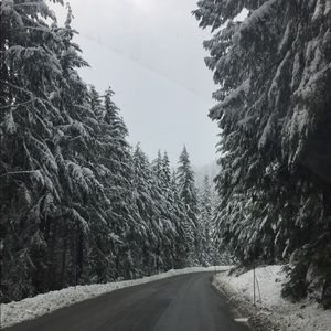 Meet your Posher, Hayden